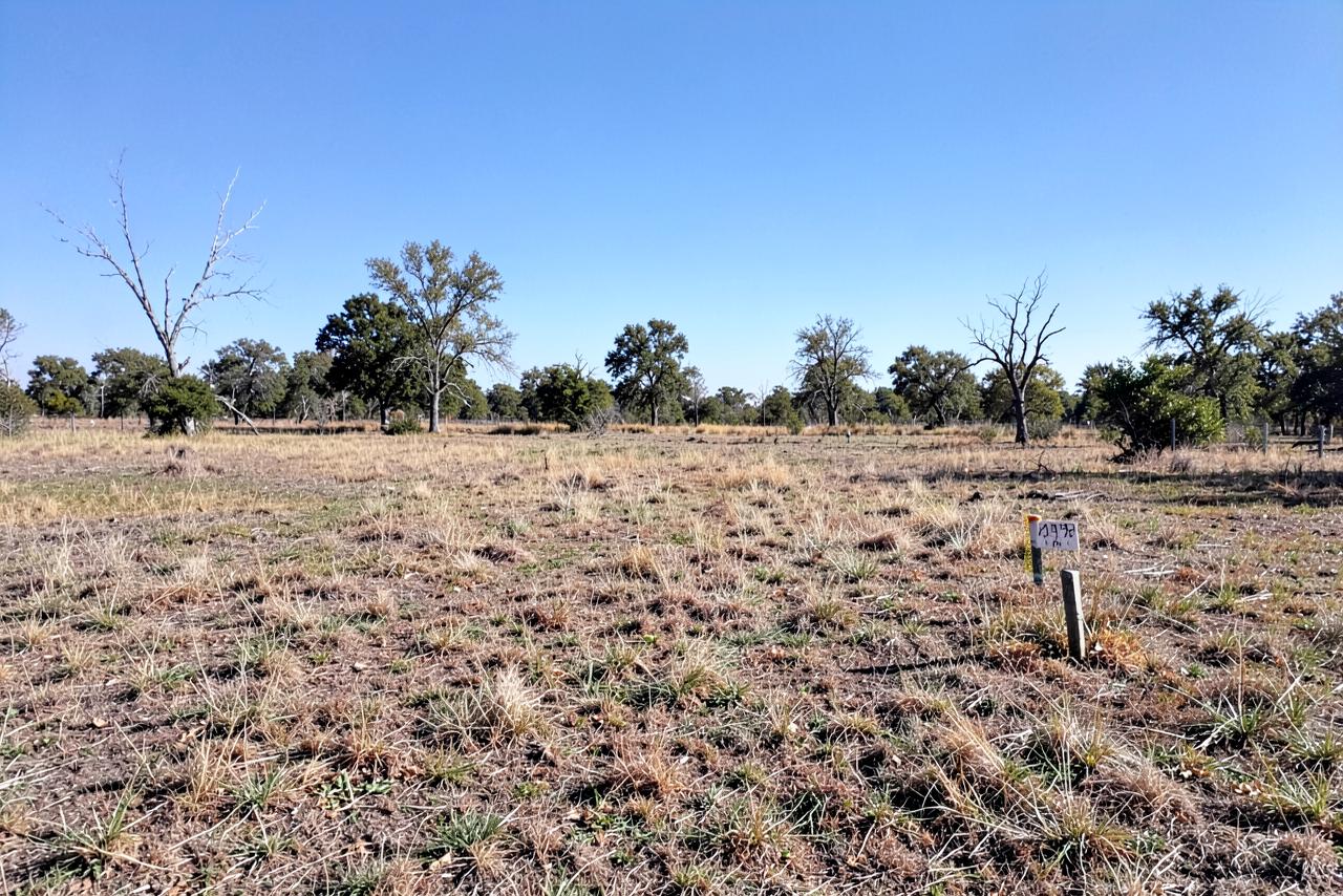 Open vacant land parcel with dry grass and a distant tree line